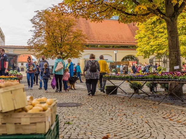 Bauernmarkt Günzburg Auf dem Bild ist ein lebhafter Bauernmarkt in Günzburg zu sehen. Menschen schlendern zwischen Ständen mit Obst und Pflanzen umher. Im Hintergrund sind herbstliche Bäume und ein Gebäude mit rotem Dach sichtbar.