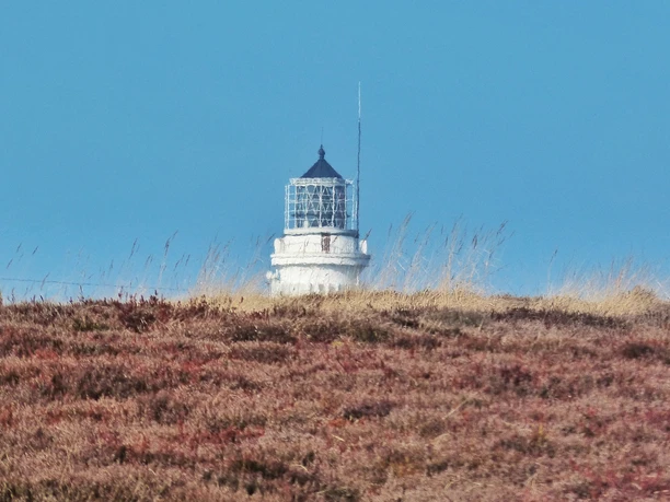 Braderuper Heide und der Kampener Leuchtturm