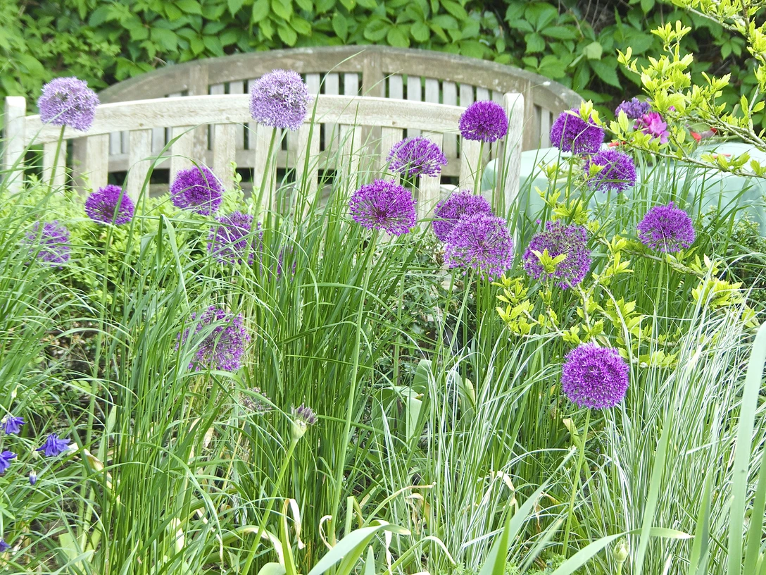 Gartenparadies Fresenhaus