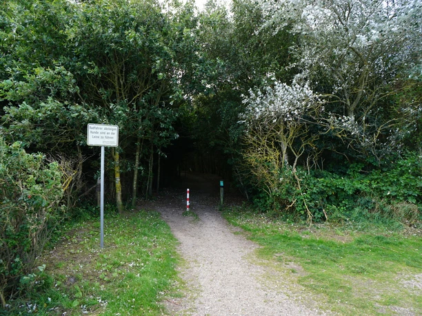 Wald am Campingplatz in Kampen