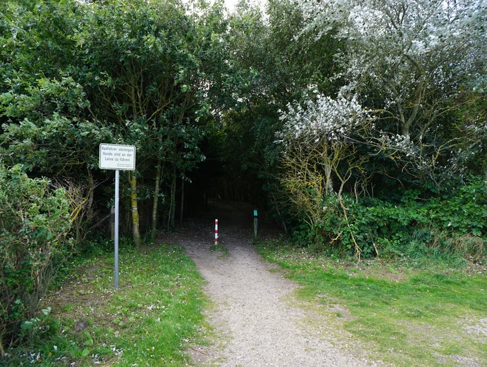 Wald am Campingplatz in Kampen