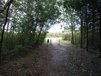 Wald am Campingplatz in Kampen