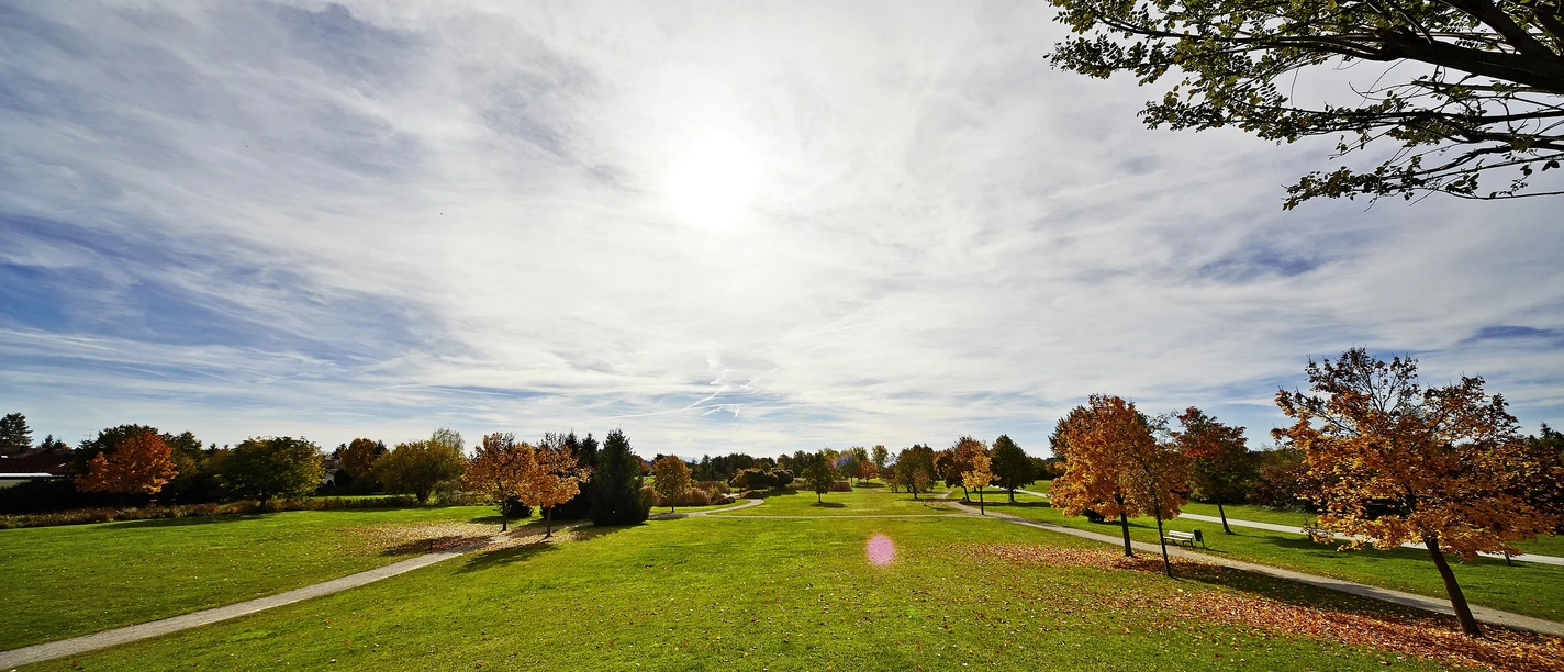 Disc Golf im Ostpark im Herbst