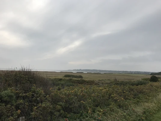 Naturschutzgebiet Nielönn