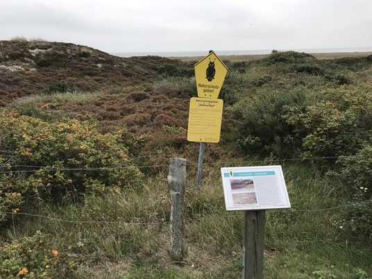 Naturschutzgebiet Nielönn