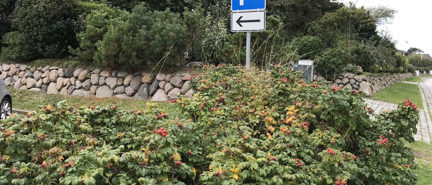 Der Parkplatz "Zur Uwe Düne" in Kampen