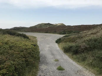 Parkplatz Buhne 16 II in Kampen