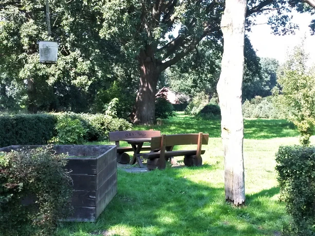 Rastplatz in Tange Grüner Rastplatz mit Holztisch und Bänken, eingebettet zwischen großen Eichenbäumen.