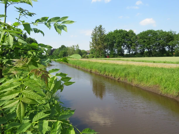 Nordlohkanal Ein idyllischer Kanal in einer ländlichen Landschaft, umgeben von saftigem Grün und klarer Luft.
