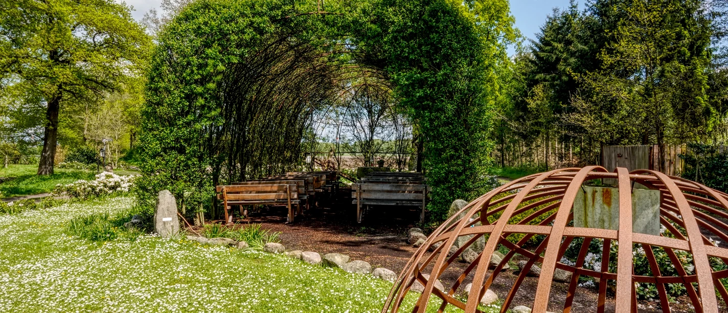 Weidenkirche Börger