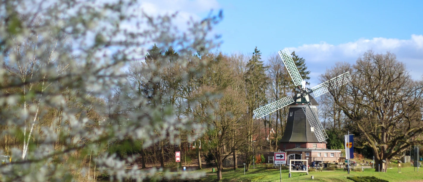 Holtingmühle Meppen Historische Windmühle mit Flügeln am Flussufer, umgeben von Bäumen und blühenden Zweigen im Frühling.