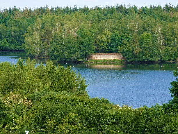 Een blauw meer, omringd door groene bossen, met een zanderige oever en een rustig wateroppervlak.