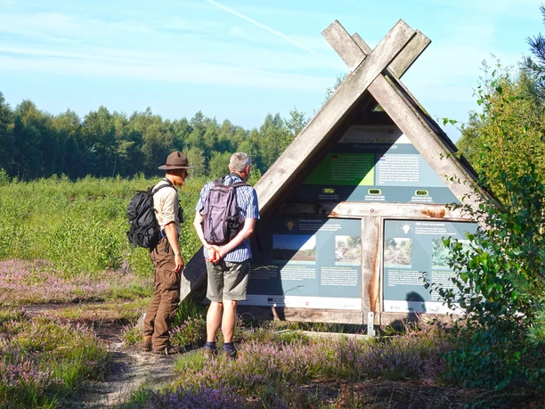 Zwei Wanderer betrachten eine Informationstafel im Moorgebiet, umgeben von Heide und Birken.