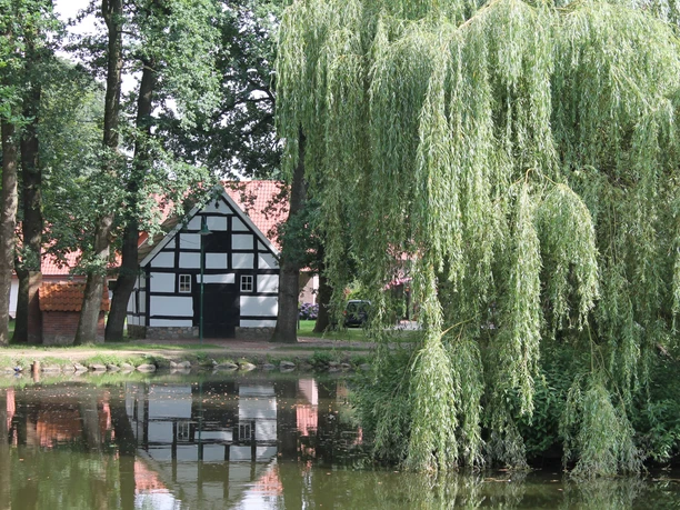 Fachwerkhaus am Teichufer mit herabhängender Weide und Spiegelung im ruhigen Wasser.