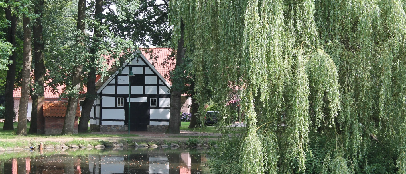 Dorfteich Vrees Fachwerkhaus am Teichufer mit herabhängender Weide und Spiegelung im ruhigen Wasser.