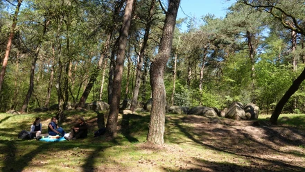 Großsteingrab im Großen Sande Menschen picknicken auf einer Waldlichtung nahe alter Findlinge im sonnendurchfluteten Kiefernwald.