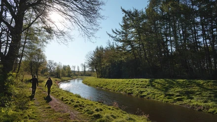 Zwei Wandernde folgen einem sonnenbeschienenen Pfad entlang eines ruhig fließenden Flusslaufs.