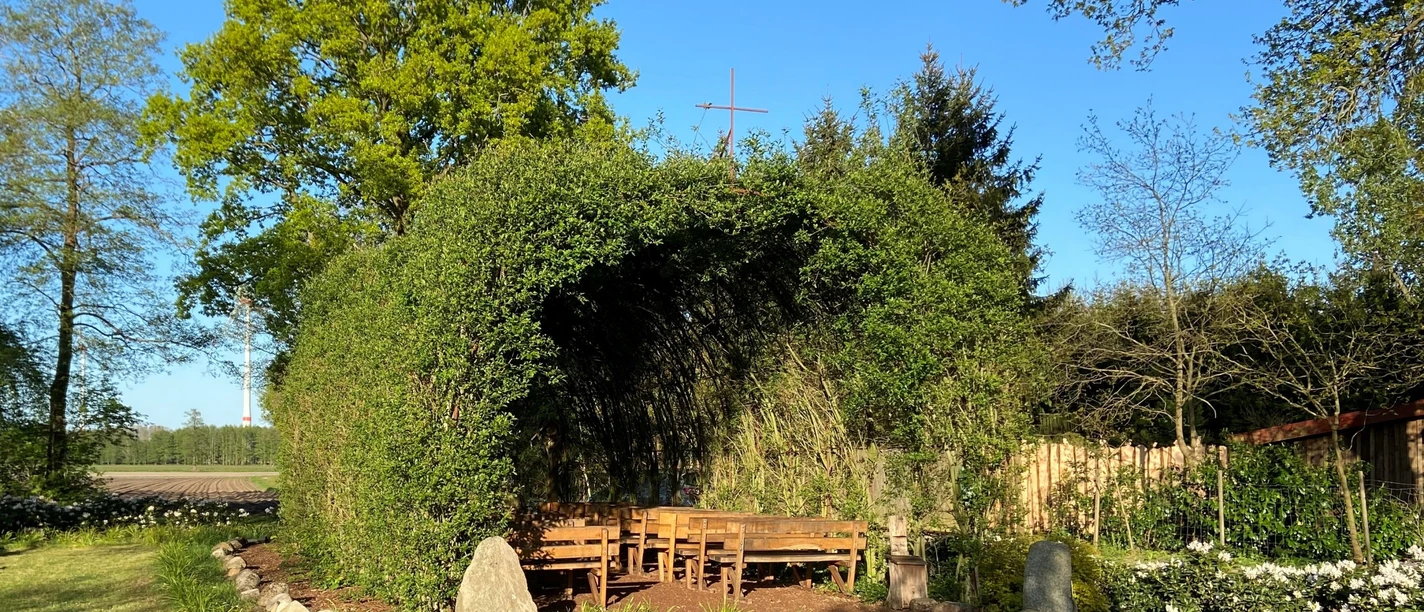 Weidenkirche Börger Grüne Weidenkirche in Börger mit naturgewölbtem Dach und Holzbänken unter blauem Himmel