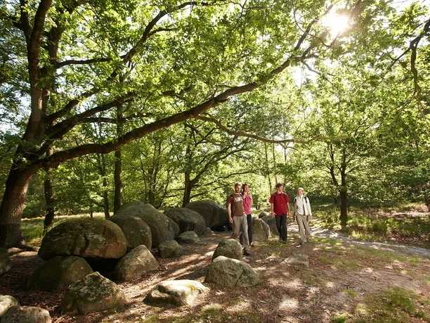 Vier Wanderer gehen bei Sonnenschein durch einen Wald am steinernen Königsgrab im Emsland.