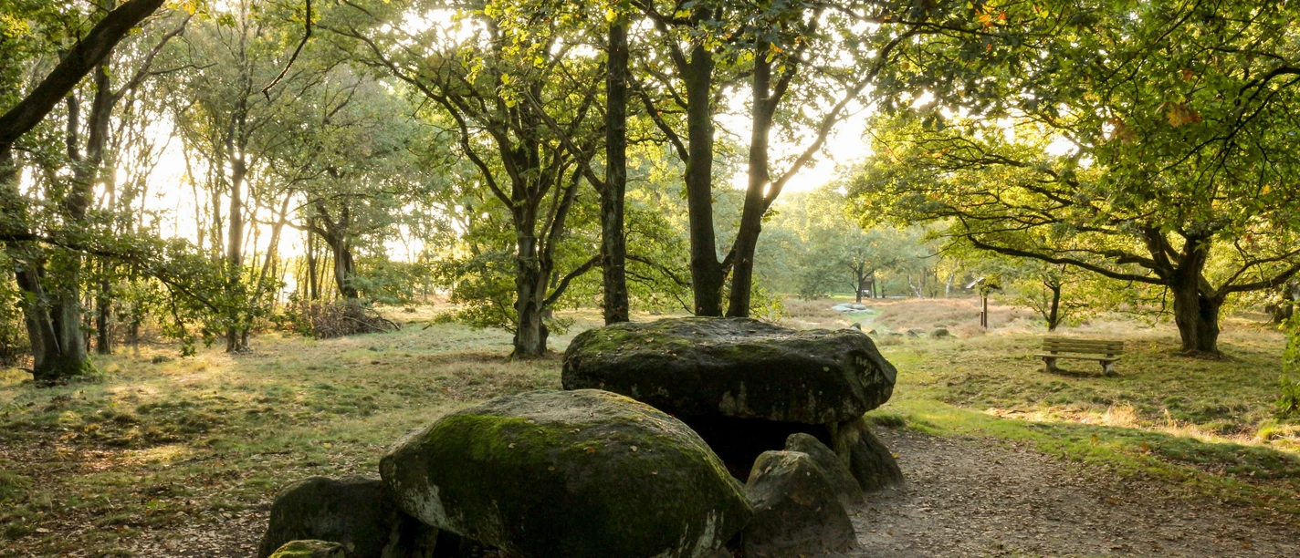 Wappengrab Große mit Moos bewachsene Findlinge einer steinzeitlichen Grabstätte zwischen Bäumen im Abendlicht