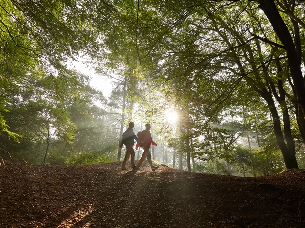 Zwei Wandernde gehen bei Sonnenlicht durch einen Laubwald auf einem naturbelassenen Pfad.