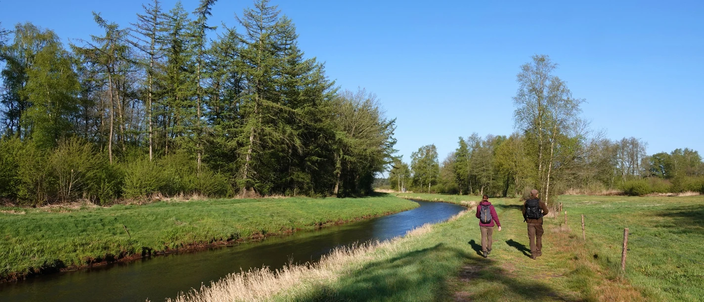 Nordradde Zwei Wandernde auf einem Wiesenweg entlang der Nordradde mit Bäumen und klarem blauen Himmel.