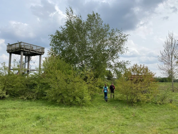 Zwei Wandernde gehen durch grünes Wiesengelände am Aussichtsturm Kapellenmoorgraben entlang.