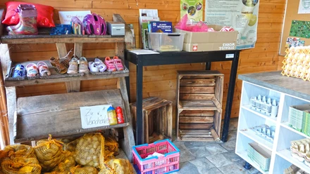 Eierhütte Hof Engelken Holzregal mit Kinderschuhen und Helmen, daneben Tisch und Regale mit Eierkartons in einer Verkaufshütte