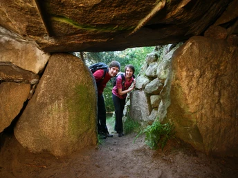 Hühnengräberstraße des Hümmlings