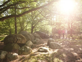 Hühnengräberstraße des Hümmling