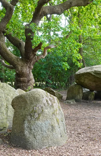 Großsteingrab Bruneforth