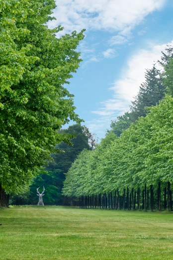 Emslandmuseum Schloss Clemenswerth, Sögel – Blick auf Platzhirsch