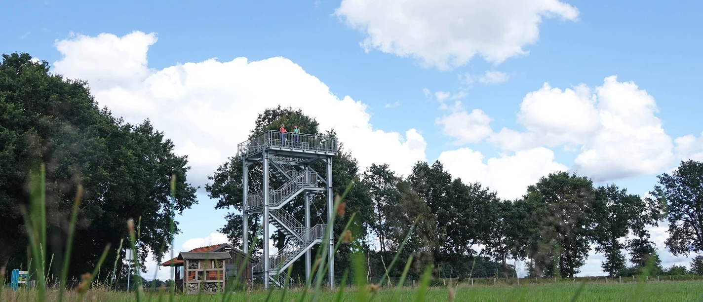 Naturerlebnis Vreeser Wiesen - Bockholter Dose - Aussichtsturm Metall-Aussichtsturm mit zwei Personen auf der Plattform, umgeben von Grünland und Bäumen unter blauem Himmel.