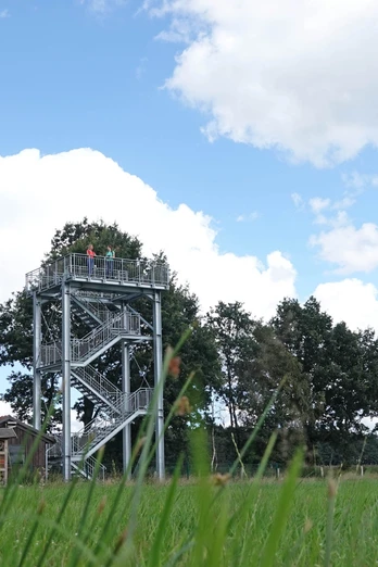Naturerlebnis Vreeser Wiesen - Bockholter Dose - Aussichtsturm