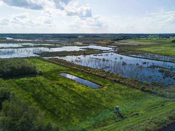 Naturschutzgebiet Theikenmeer bei Werlte Weitläufige Moorlandschaft mit Wasserflächen, grünen Wiesen und Buschinseln unter leicht bewölktem Himmel.