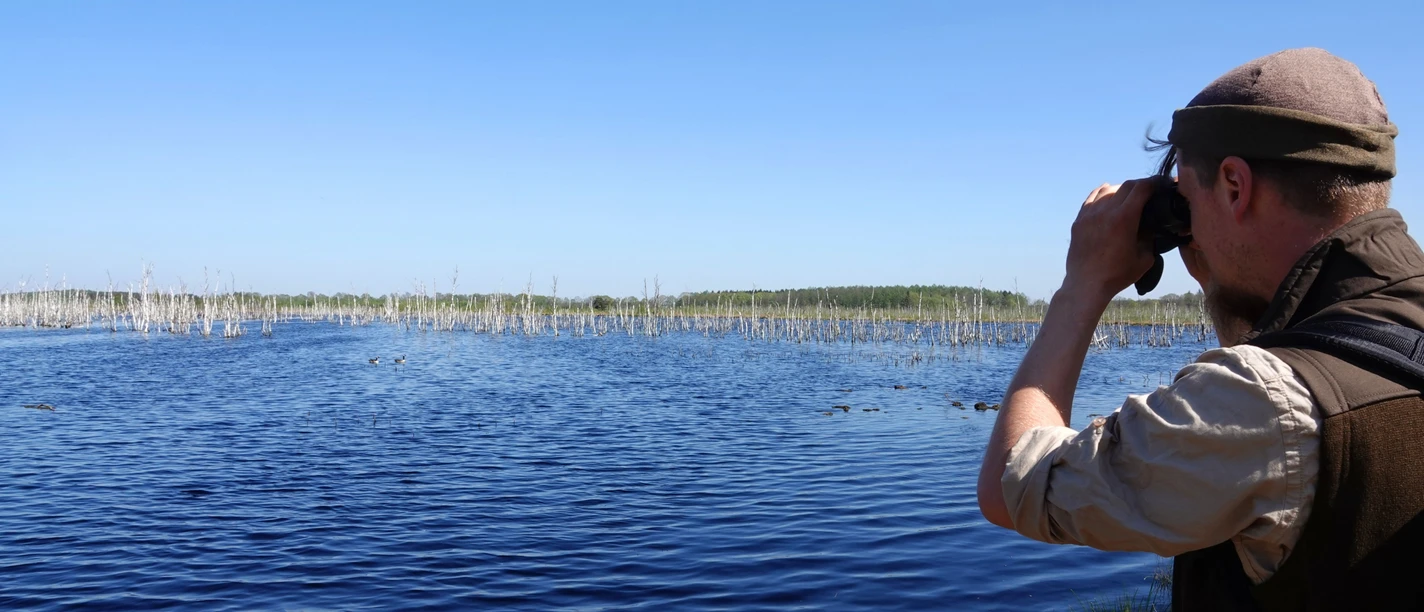 Naturschutzgebiet Theikenmeer bei Werlte Person mit Fernglas am Ufer des Theikenmeers, blickt über stilles Wasser mit toten Bäumen und Enten.