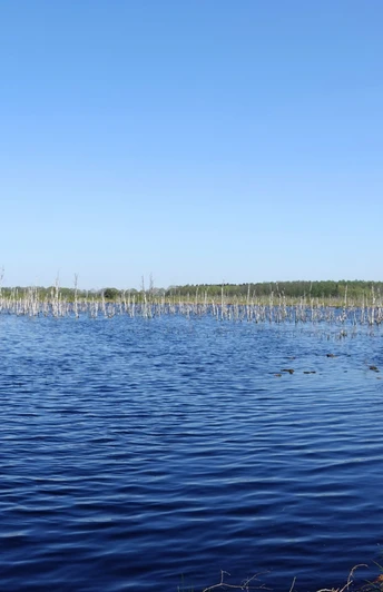 Naturschutzgebiet Theikenmeer bei Werlte