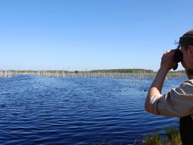 Naturschutzgebiet Theikenmeer bei Werlte