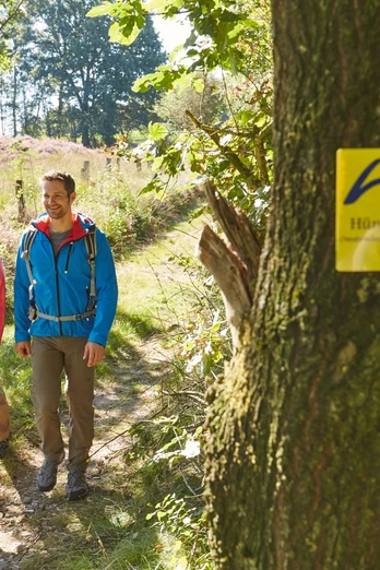Wandern Hünenweg