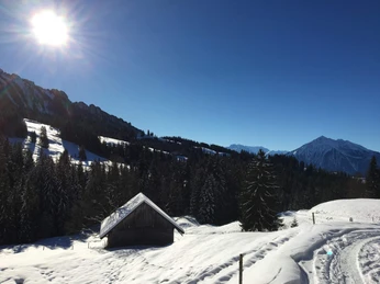 schwanden-winter-schneeschuhtour