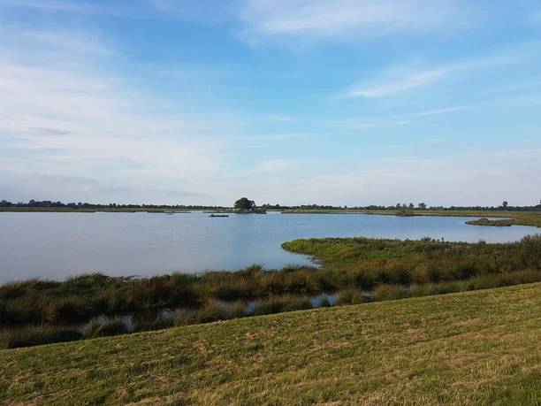 Hammrichtour, Rhauderfehn erfahren, Radthemenroute, Gemeinde Rhauderfehn, Ostfriesland, Blick vom Radweg aus auf das Wasser und die Inselgruppen des Polder Holter Hammrich Weite Landschaft mit Wasser (Polder), umgeben von Gras und Schilf unter blauem Himmel mit wenigen Wolken