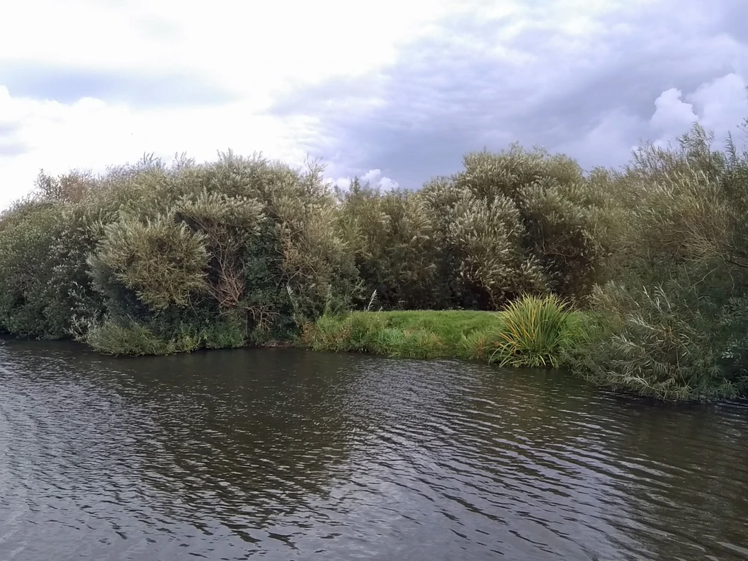 angeln-stmichel-dithmarschen-tourismus