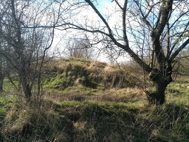 Grabhügel Arkebeker Feld