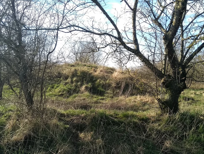 Grabhügel Arkebeker Feld