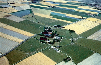 Dorfwurt Hassenbüttel