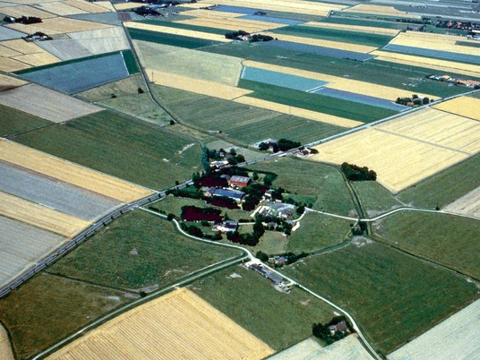 Dorfwurt Hassenbüttel