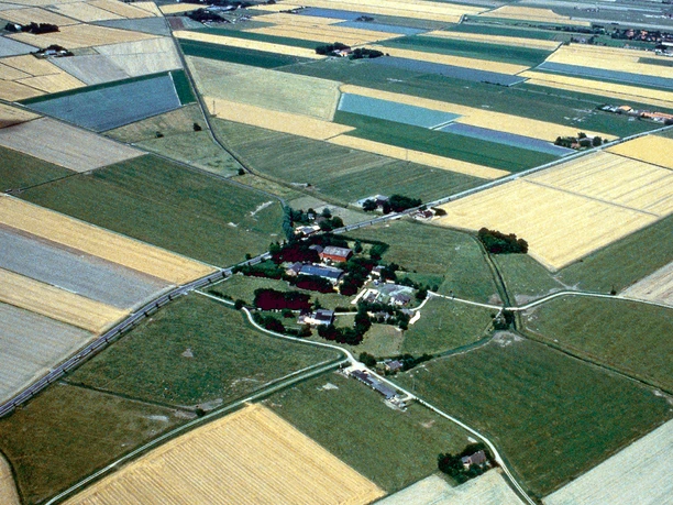 Dorfwurt Hassenbüttel