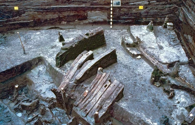 Dorfwurt Wellinghusen