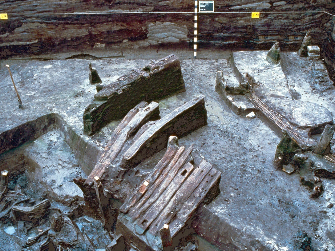 Dorfwurt Wellinghusen