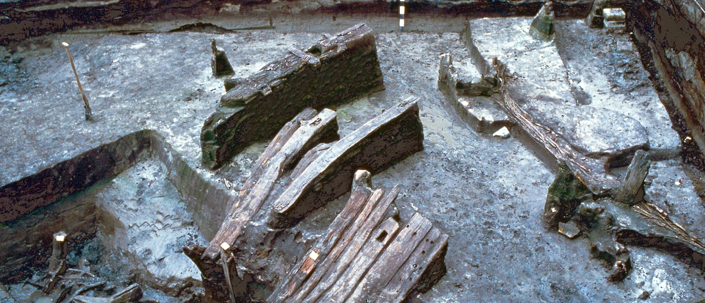 Dorfwurt Wellinghusen